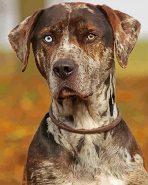 Aesthetic Catahoula Paint By Numbers