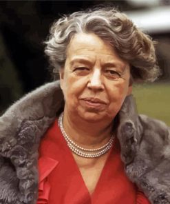 Aesthetic Eleanor Roosevelt Art Paint By Numbers