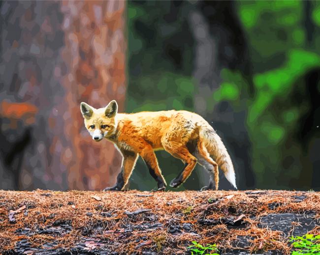 Aesthetic Fox In Forest Paint By Numbers