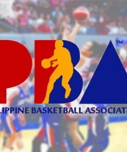 Aesthetic Pba Basketball Logo Paint By Numbers