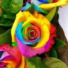 Aesthetic Rainbow Rose Illustration Paint By Numbers
