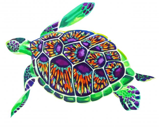 Aesthetic Ridley Sea Turtle Art Paint By Number