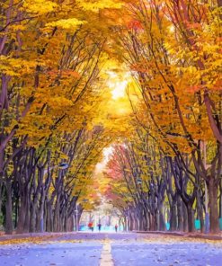 Aesthetic Tree Lined Autumn Road Paint By Numbers