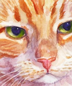 Aesthetic Orange Kitten Close Up Paint By Numbers