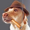 Beautiful Dog With Cigar Paint By Numbers