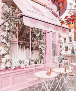 Beautiful Pink Cafe Paint By Number