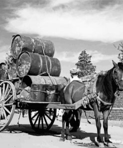 Black And White Horse Pulling Wagon Paint By Numbers