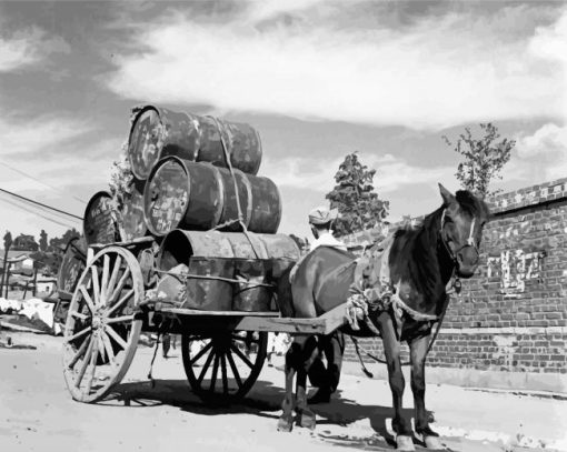 Black And White Horse Pulling Wagon Paint By Numbers