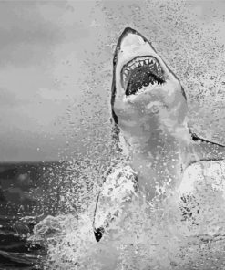 Black And White Jumping Shark Paint By Numbers