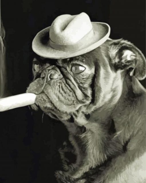 Black And White Pug With A Cigar Paint By Number