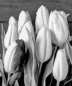 Black And White Tulip Paint By Numbers