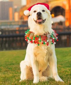 Christmas English Cream Golden Retriever Paint By Number