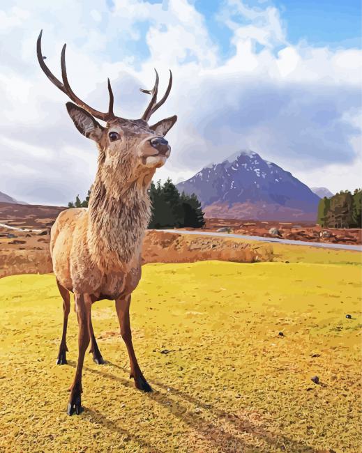 Cute Highland Stag Animal Paint By Number
