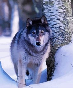 Grey Wolf In Deep Snow Paint By Numbers