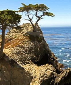 Monterey Trees Landscape Paint By Number