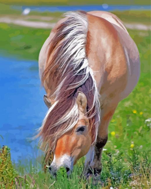 Norwegian Fjord Horse Eating Paint By Number