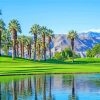 Palm Desert Palm Desert Paint By Numbers