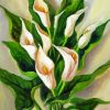 Peace Lily Flowers Paint By Number