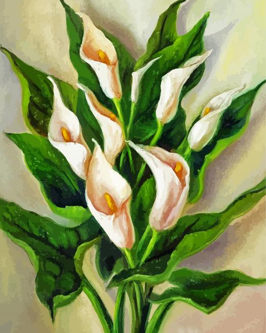Peace Lily Flowers Paint By Number