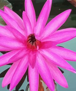 Pink Tiger Lotus Paint By Numbers