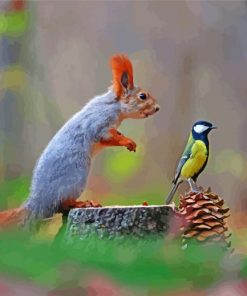Tit And Red Squirrel In Forest Paint By Number