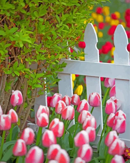 Tulips By White Picket Fence Paint By Number
