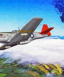 Tuskegee Airmen Planes Paint By Numbers