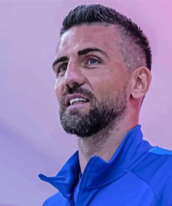 Vedad Ibisevic Football Player Paint By Numbers