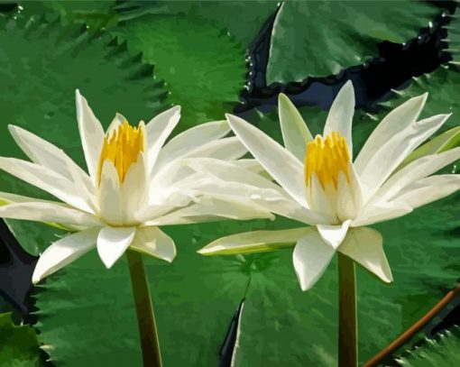 White Tiger Lotus Paint By Number