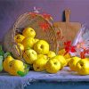 Yellow Quinces Paint By Numbers