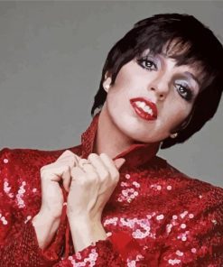 Actress Liza Minnelli Paint By Numbers