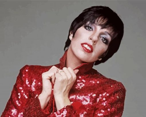 Actress Liza Minnelli Paint By Numbers