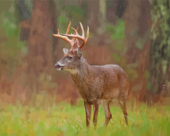 Aesthetic Deer In Rain Paint By Numbers
