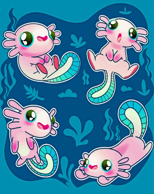 Baby Axolotl Paint By Numbers