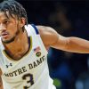 Basketballer Notre Dame Fighting Irish Paint By Numbers