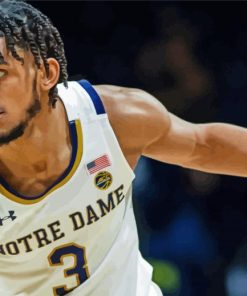 Basketballer Notre Dame Fighting Irish Paint By Numbers