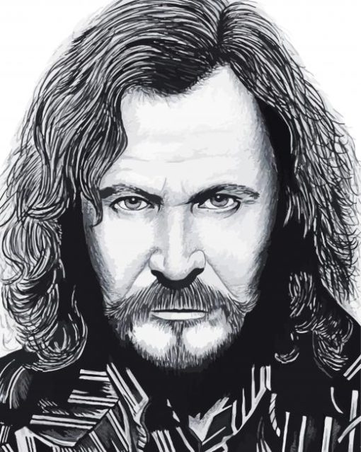 Black And White Sirius Black Paint By Numbers