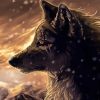 Black And Brown Wolf Art Illustration Paint By Numbers