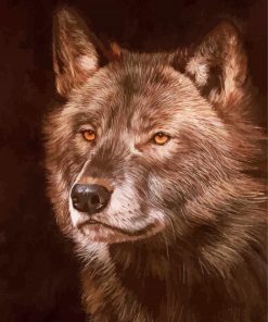 Black And Brown Wolf Head Paint By Numbers