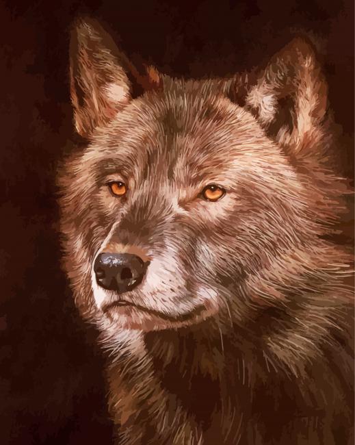 Black And Brown Wolf Head Paint By Numbers