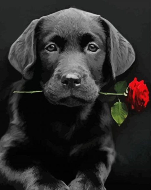 Black Lab With Rose Paint By Numbers