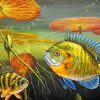 Bluegill Fish Underwater Paint By Numbers