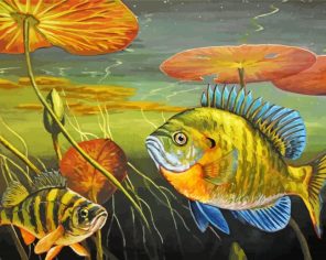 Bluegill Fish Underwater Paint By Numbers