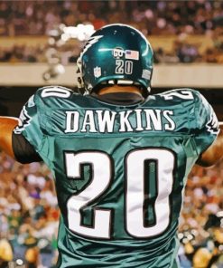 Brian Dawkins Paint By Number