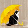 Cat Under Umbrella Paint By Numbers