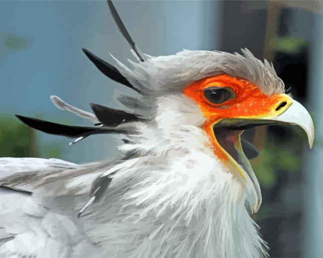 Close Up The Secretarybird Paint By Numbers
