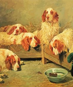 Clumber Spaniel Dogs Paint By Numbers