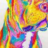 Colorful Staffy Dog Animal Paint By Numbers