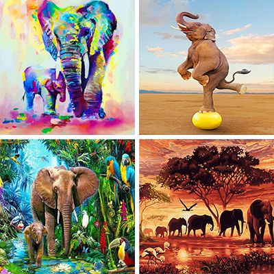 elephants paint by numbers 