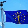 Flying Indiana Flag Paint By Numbers